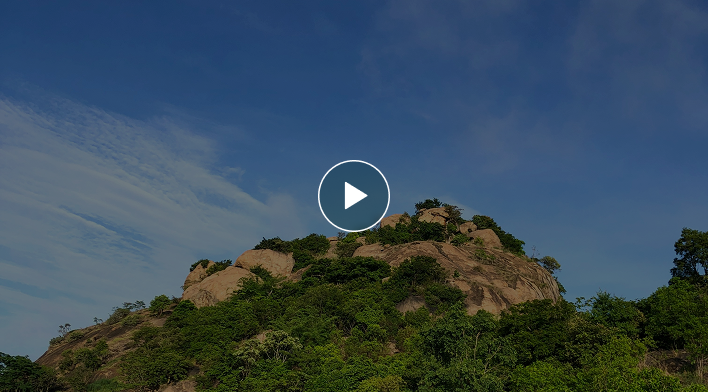 VideoImage